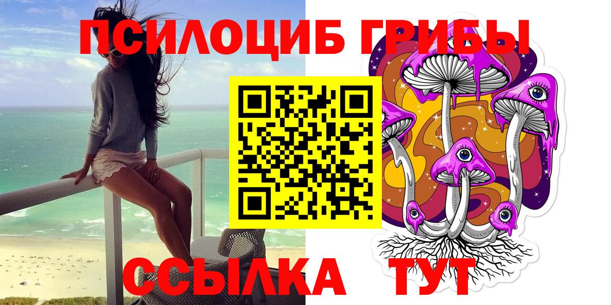 Богданович  Псилоцибиновые грибы Psilocybe  Вход с VPN 