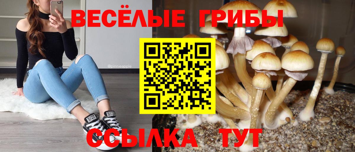 Галлюциногенные грибы ЛСД Богданович
